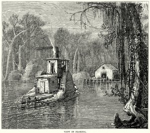 Näkymä Floridassa (kaiverrus) tekijältä English School