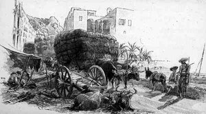 Wagons with Esparto Grass, Almeria, Espanja, The Picturesque Mediterranean, Volume 3, julkaisija Cassell and Co. Ltd. tekijältä English School