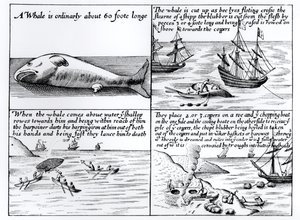 Valaanpyynti Huippuvuorilla vuonna 1611 tekijältä English School