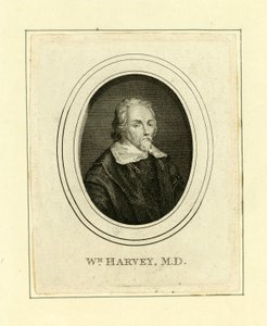 William Harvey tekijältä English School
