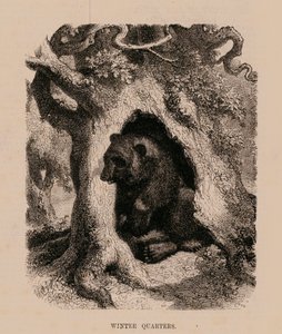 Winters Quarters (kaiverrus) tekijältä English School