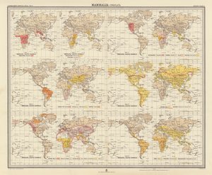Zoogeografia: Mammalia, Ungulata (väriliitos). tekijältä English School