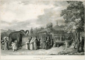 Eläintarha, Regents Park tekijältä English School