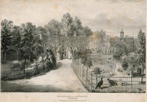 Eläintarha, Regents Park tekijältä English School
