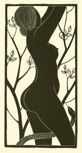 Eeva (kivi)