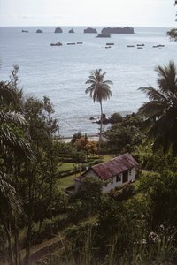 Limbén lahti, joka tunnetaan nimellä Victoria, Kamerun, Afrikka