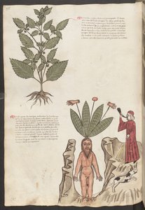 Koko sivu: teksti ja pienoiskuvat: " Mercurela " (miniatyyri) tekijältä Erich Lessing