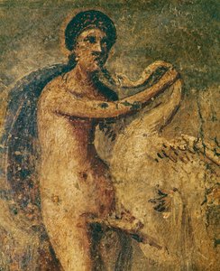 Leda ja joutsen tekijältä Erich Lessing