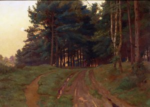 Hiljaisuus vaati iltavaltaa, 1888
