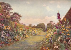 The Long Border, Holme Lacy, 1903. tekijältä Ernest Arthur Rowe