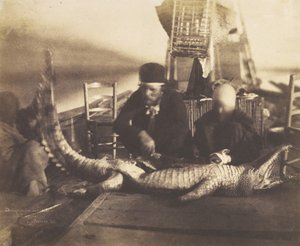 Ensimmäisen krokotiilin ruumiinavaus, Ylä-Egypti, 1852.