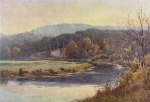 Metsä ja vesitie