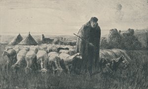 Picardie Shepherd, 1919 tekijältä Ernest George Beach