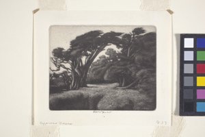 Cypress Bower (mezzotint)