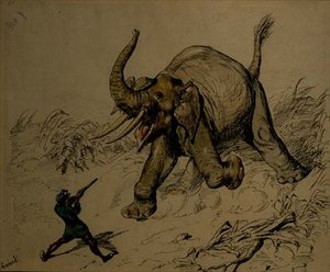 Elephant Shoot (kynä ja muste, akvarelli paperille) tekijältä Ernest Henry Griset
