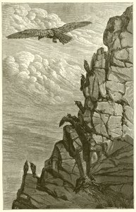 Kotka ja varis