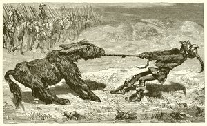 Järkevä perse