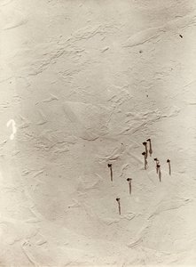 Katse alas pallosta tasangon yli kohti "Discoverya" (1901). Sir Ernest Henry Shackletonin albumista National Antarctic Expedition (1901-1903). tekijältä Ernest Henry Shackleton