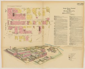 Grays Ferry Chemical Works, Grays Ferrry Rd. (pohjoispuoli) Thirty-fourth St. ja Thirty-sixth St. välillä, Hexamer General Surveys, 1888.