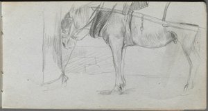 Luonnoskirja, sivu 06: Hevostutkimus tekijältä Ernest Meissonier