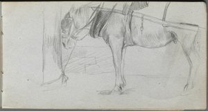 Luonnoskirja, sivu 06: Hevostutkimus. tekijältä Jean Louis Ernest Meissonier