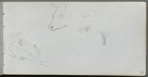 Luonnoslehti, sivu 53: Animal Studies ja Tree Study tekijältä Ernest Meissonier
