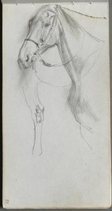 Luonnoskirja, sivu 55: Study for a Horse