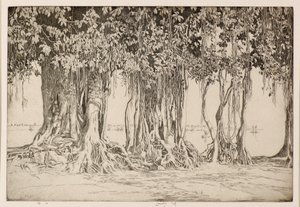 Banyan-puu