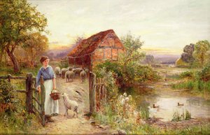Lampaan tuominen kotiin