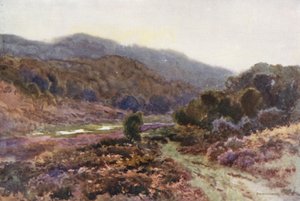 Kirjailija: Broomy Water (väri litho) tekijältä Ernest William Haslehust