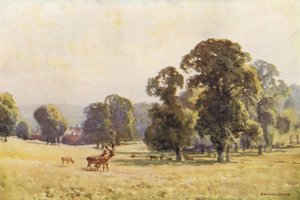 Cobham Park (väri litho) tekijältä Ernest William Haslehust