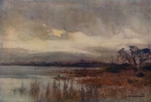Hickling Broad (väri litho) tekijältä Ernest William Haslehust