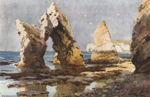 Freshwater Bayssa (väri litho) tekijältä Ernest William Haslehust