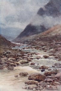 Fat Cleave (väri litho) tekijältä Ernest William Haslehust