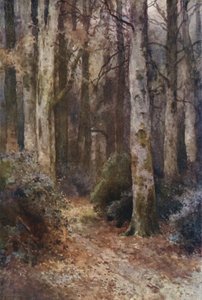 "katedraali" (väri litho)