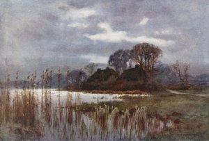 Mill Pond, Beaulieu (väri litho) tekijältä Ernest William Haslehust