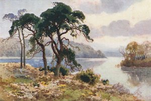Virginia Water (väri litho) tekijältä Ernest William Haslehust