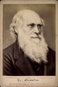 Charles Darwin, brittiläinen luonnontieteilijä, 1860-1870 tekijältä Ernst Hader