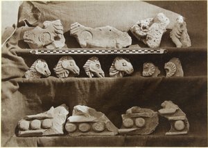 Samarran kaivaukset (Irak): Fragmentit friisistä, jossa on kamelihahmoja, Kalifin palatsista (Dar al-Khilafa, Jawsaq al-Khaqani, Bayt al-Khalifah), Pieni Serdab, n. 1911-13 (b/w) kuva) tekijältä Ernst Herzfeld