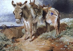 Aasit, 1855
