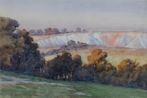 Coulsdon Quarry Farthing Downsista (wc paperilla)