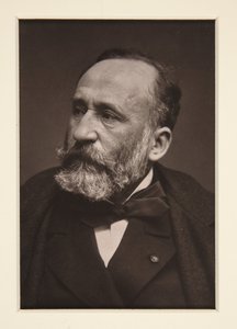 Pierre Puvis de Chavannesin muotokuva (1824-1898) tekijältä Etienne Carjat