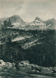 Näkymä Brenta-ryhmästä alppilaitumella, Madonna di Campiglio, Dolomiitit, Italia, 1927