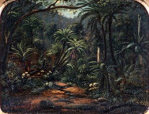 Ferntree Gully Dandenongin vuoristoissa