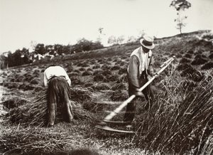 Faucheurs, Somme tekijältä Eugène Atget