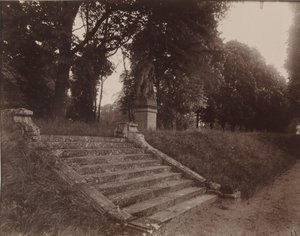 Parc de Sceaux,1925 (kuva) tekijältä Eugène Atget