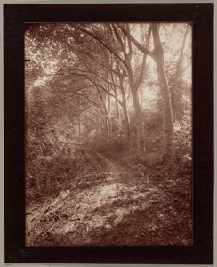 Sceaux’n puisto tekijältä Eugène Atget