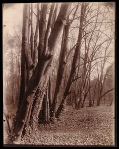 tekijältä Eugène Atget