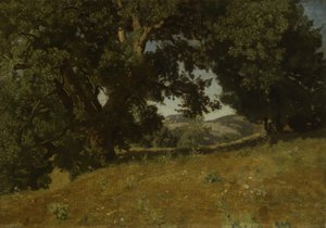 Paisatge finès tekijältä Eugene Bléry