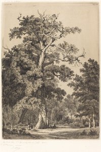Muinainen tammi Bois de Boulognessa, 1855.